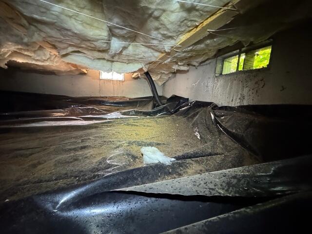 This crawl space was full of insects, rodents and moisture. Some of the fiberglass insulation started becoming damp and was sagging.