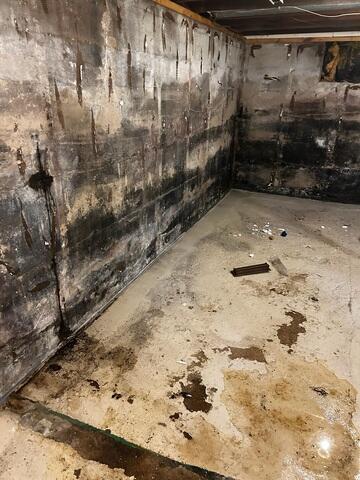 Before: Our Service Technician, Glenn, recommended encapsulating the wet basement walls.