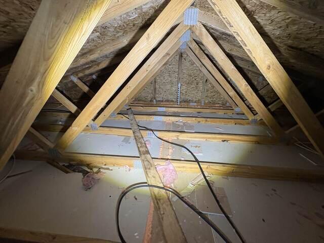 Removed mold and old insulation, preparing for insulation