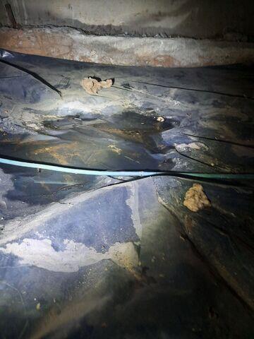 Standing Water in Crawl Space...