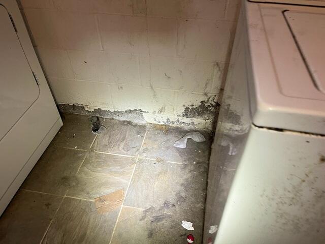 Step 0: This was the picture our Inspector took upon the free initial inspection. Clearly, the homeowner wasn't lying when they said the basement leaked nearly every time it rained.
