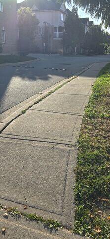 Need to improve curb appeal and fix sinking sidewalks without massive capital expense? This Milton residential site avoided costly demolition. Our specialized injection method provided a durable, neat repair that immediately upgraded the property's look and function.