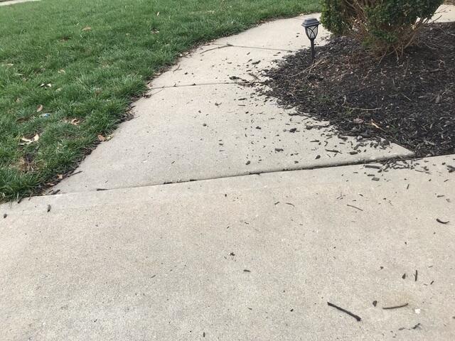 This photo was taken upon the initial inspection and shows the sunken sidewalk. Because this sidewalk sunk, the mulch was prone to washing out over the top of it. The homeowners were frustrated with the amount of sweeping required for this sidewalk.