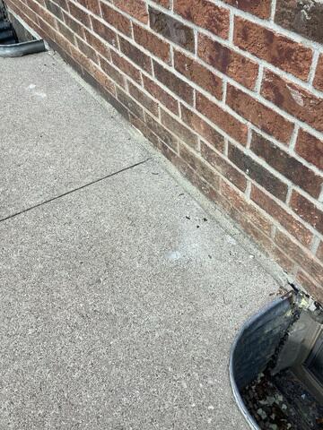 The final image showcases the completed result. The strategic combination of our premium flexible sealant and the hardened polymeric sand creates a completely protected and highly stable exterior. This finished product restores the aesthetic appeal while securing the concrete against future water damage and movement, guaranteeing the long-term integrity of the walkway and patio.