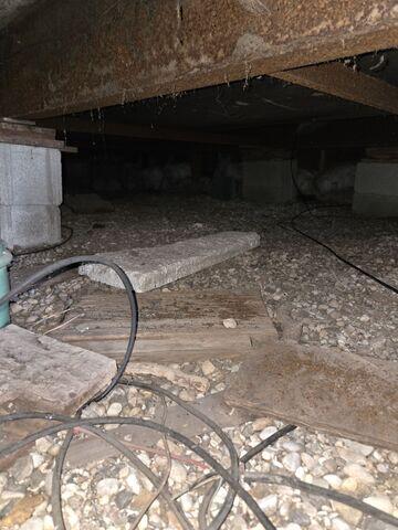 Before: Dylan, one of our Design Specialists, recommended encapsulating the entire crawl space.