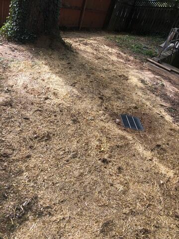 Finished installation of yard drainage system and cleaned workspace in Rockville, MD