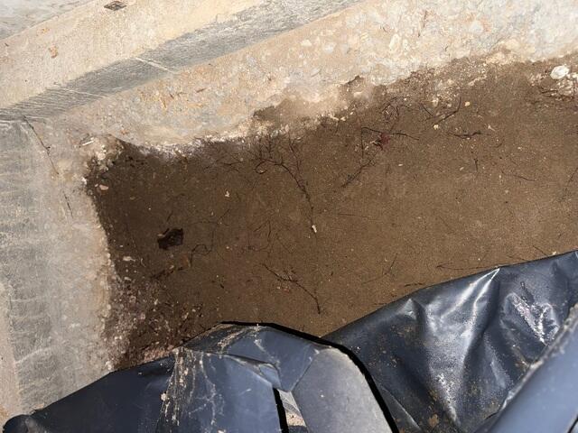 This crawl space was not properly encapsulated so the dirt floor had a lot of moisture even with the plastic moisture barrier.