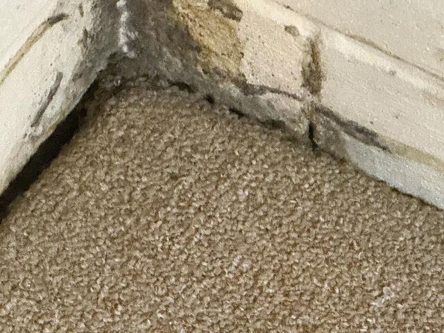 After we get rid of the mold, the owner will add new carpet to his office.