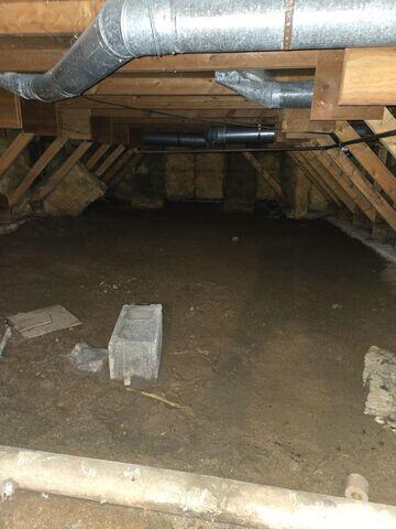 Before: Dylan, one of our Design Specialists, recommended encapsulating the entire crawl space.