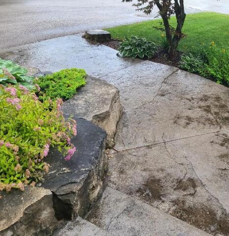 The settling wasn't just limited to the main path; this second front walkway was also beginning to fail. The concrete had dropped away from the rock garden edge, disrupting the seamless look of the landscaping. By addressing both front walkways at once, we were able to restore the home's curb appeal and safety in a single visit.