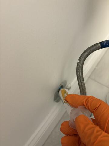 The cockroaches will be attracted to this treatment and begin to feast on it.