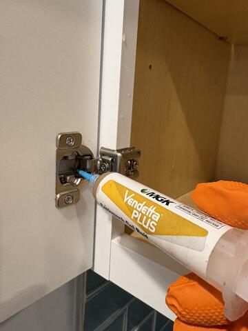 In addition to the growth regulator, we're applying a gel bait to all the gaps, crevices, and cracks.