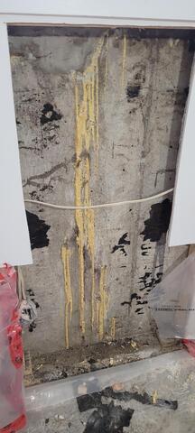 Before we sealed up properly with Flexispan