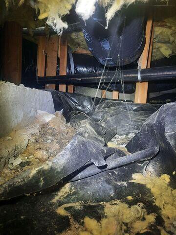 This crawl space was full of humidity and moisture which creates the perfect environment for pests to thrive.