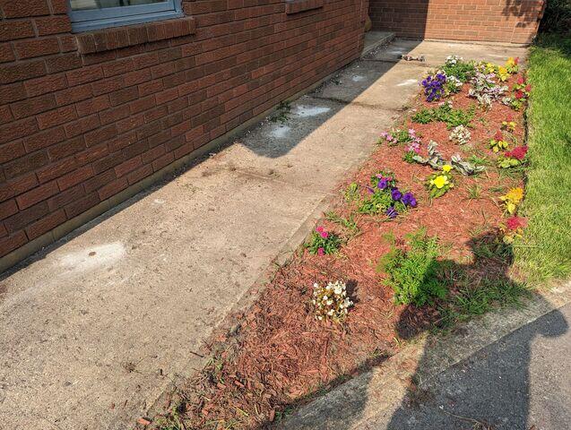 This mid-project shot shows the transition as we addressed the uneven slabs. By lifting the concrete back toward its original profile, we restored the safe flow of the path. This preparation is vital for ensuring the joints are properly aligned before the final protective sealant is applied.