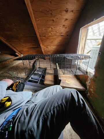 After that we set up the two-gaited device.