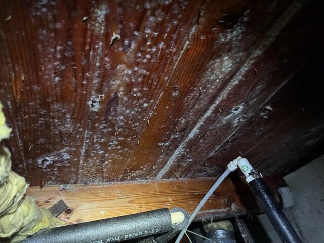 Due to all of the moisture in this crawl space it caused mold. This caused poor air quality in the home.