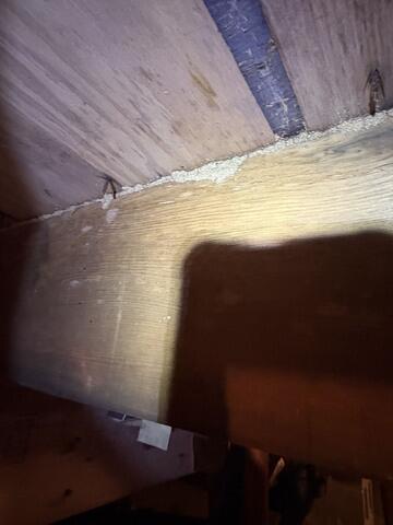 Termites use the mud tubes to travel to and from their nest when foraging for food. These protective tubes allow the termites to stay moist underground.