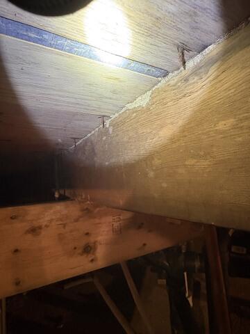 After applying the termiticide is applied, in a short amount of time, the termites will be neutralized.