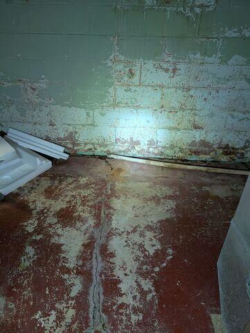 Before: The homeowner was concerned their home was in serious danger after discovering water damage in their basement.
