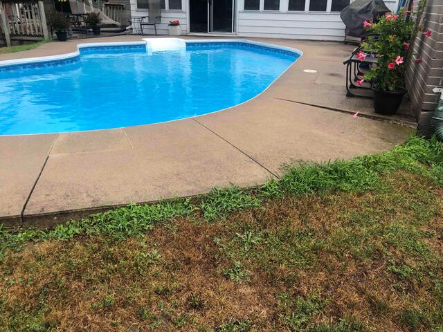You can clearly see the inward tilt of the slabs here. This improper slope causes water to pool and run back toward the pool edge rather than draining away into the grass.