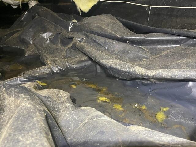 Stagnant water with nowhere to go began to cause high humidity throughout the entire home