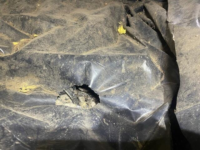 Over the years, many holes such as these were made by rodents to get through the barrier