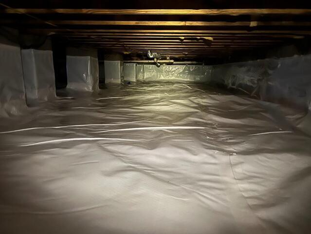 Another shot of the CleanSpace Liner.