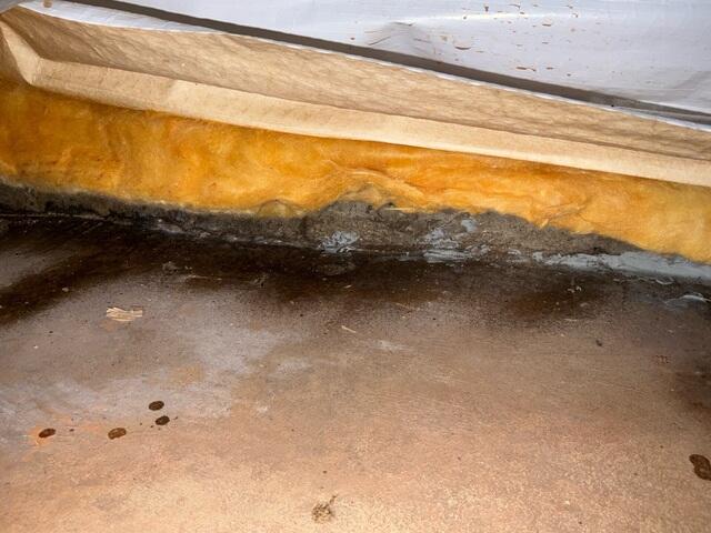 Water seeping into the basement from the foundation