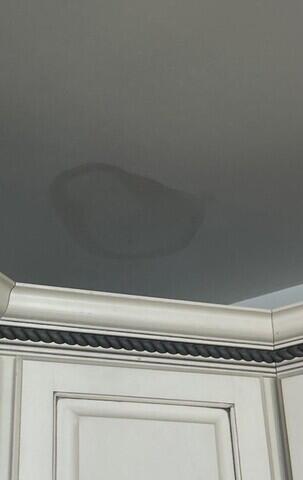 Water Damage and Water Stains, Ceiling Repair