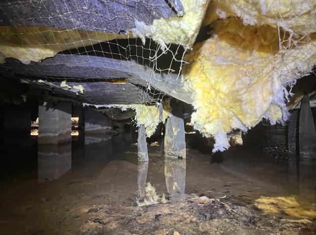 Crawl Space Before 5