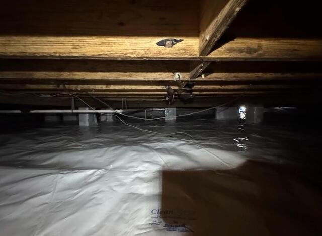Crawl Space After 4