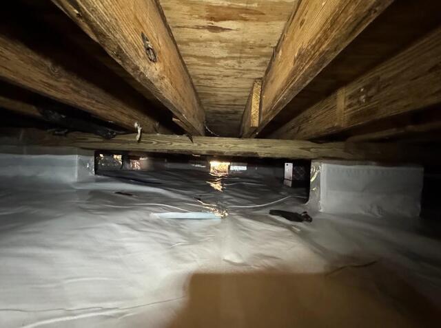 Crawl Space After 2