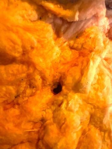 The mice made a lot of tunnels throughout the insulation...