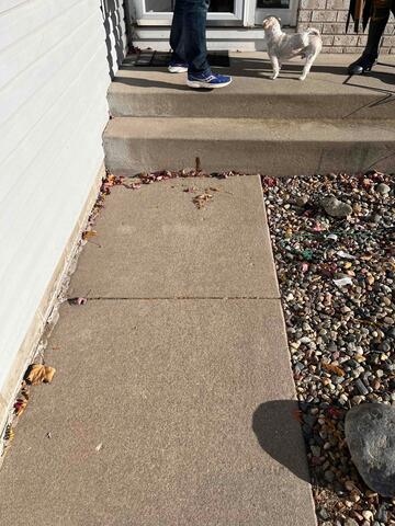 Before: Michel, one of our Design Specialists, recommended lifting the sidewalk back to its original position.