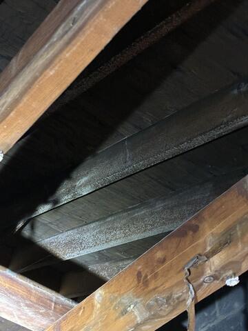 You can see mold growing on all of the wooden beams.