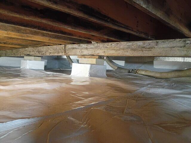 This was after we sprayed the mold cleanser and encapsulated the space.
