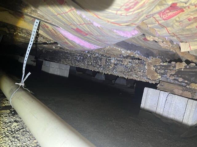 This was one of the photos our inspector snapped themselves. The homeowner couldn't believe all the amount of mold breathing beneath their living room.