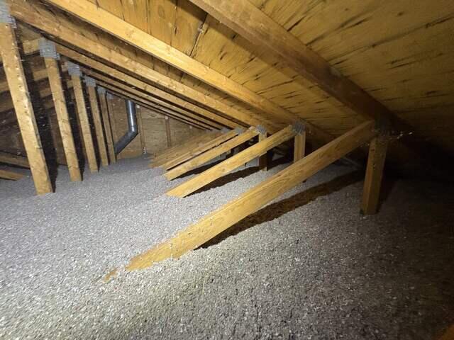 TruSoft™ cellulose insulation