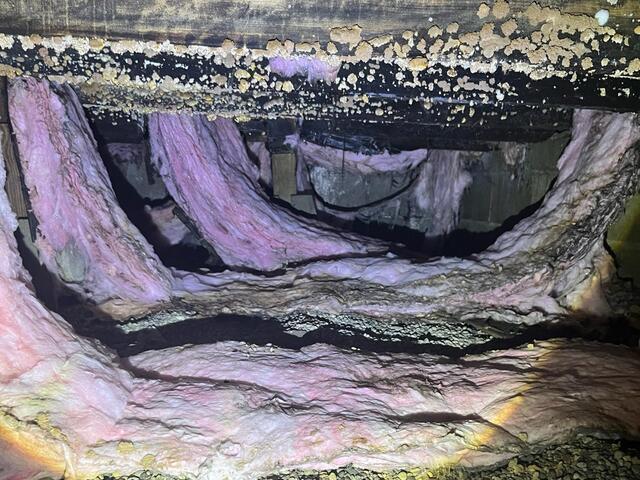 This area of the crawl space was especially damning. Most of the wooden framing in this spot had to be replaced/repaired.