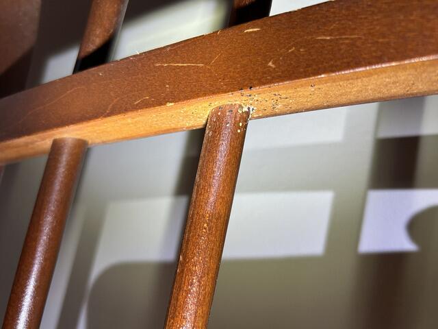 We found bed bugs tucked away in the crevices of the bed frame...