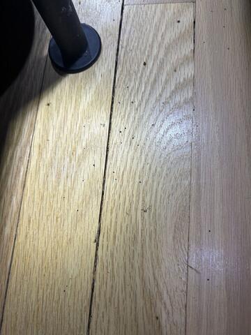 ...and all over the hardwood floor too.