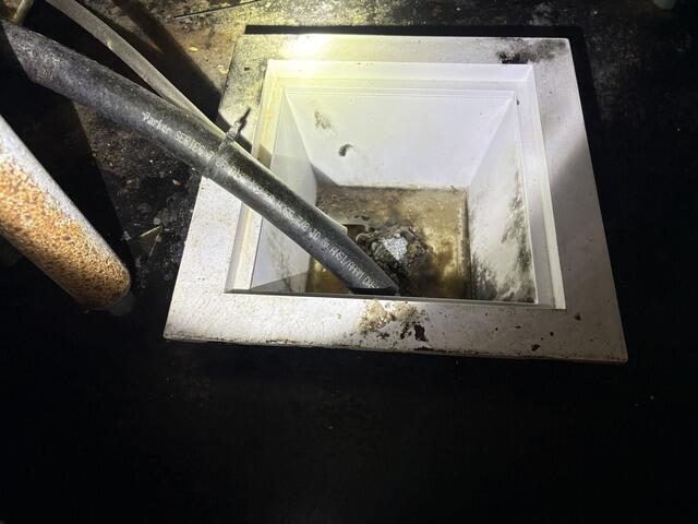 We made sure to show the owner and address these problem areas in order to prevent any future pest issues.