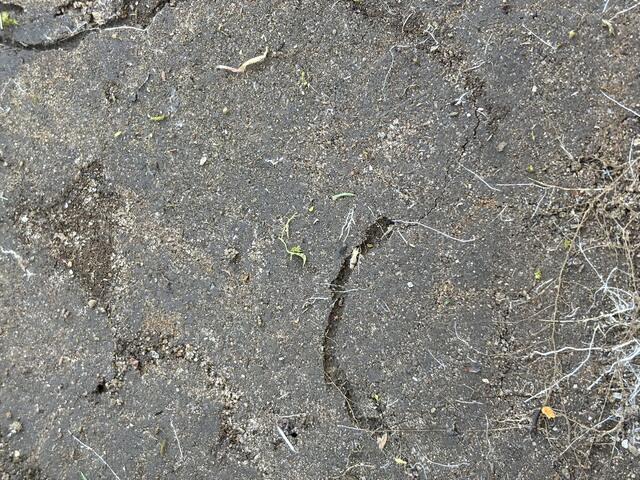 Right underneath the stone pathway!