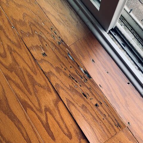 Hardwood