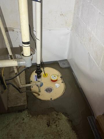 TripleSafe's unique design allows water to enter without allowing it to escape. Three pumps ensure triple the protection against floods and power outages.