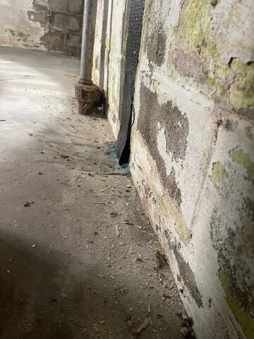 Before: The Design Specialist recommended waterproofing the entire space.