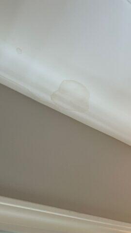 Water Stain Removal and Water Damage Cleanup
