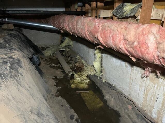 Standing water near foundation with pieces of fiberglass insulation.