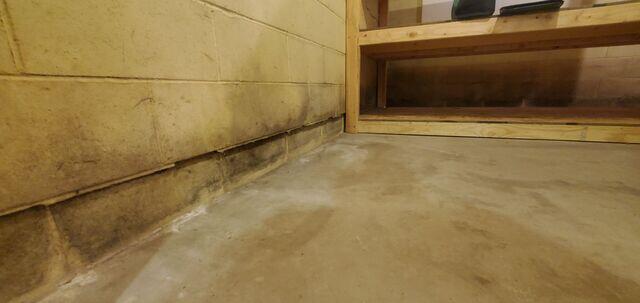 A close up of the foundation sheering